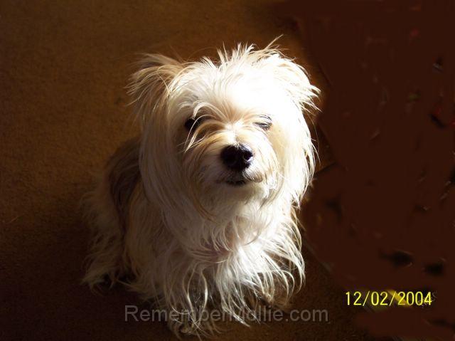 100_0129.jpg