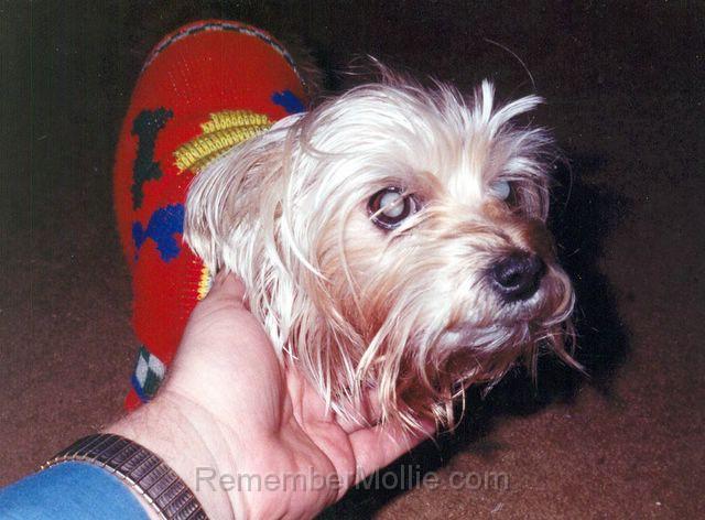 fuzzy_face.jpg - On a cold day in Plano
