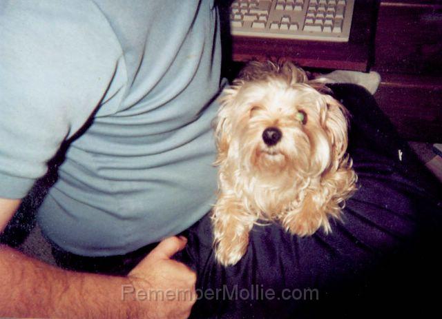 mollie_in_lap.jpg - More lap visits