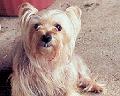 mollie4