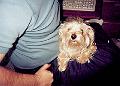 mollie_in_lap