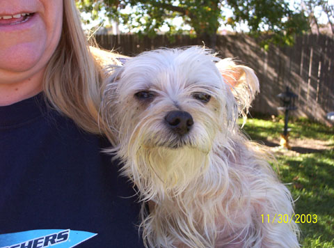 Photo of Mollie in the backyard with Tina